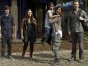 Terra Nova staying canceled